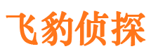 大通市侦探调查公司